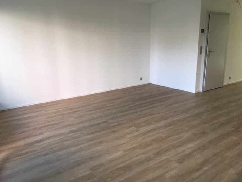 Sanierte, komfortable 1 Zimmerwohnung im Kleinbasel (4)