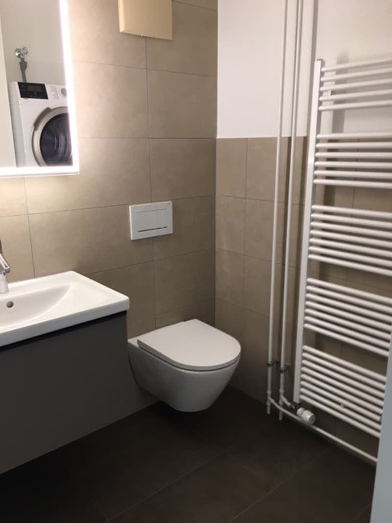 Sanierte, komfortable 1 Zimmerwohnung im Kleinbasel (6)