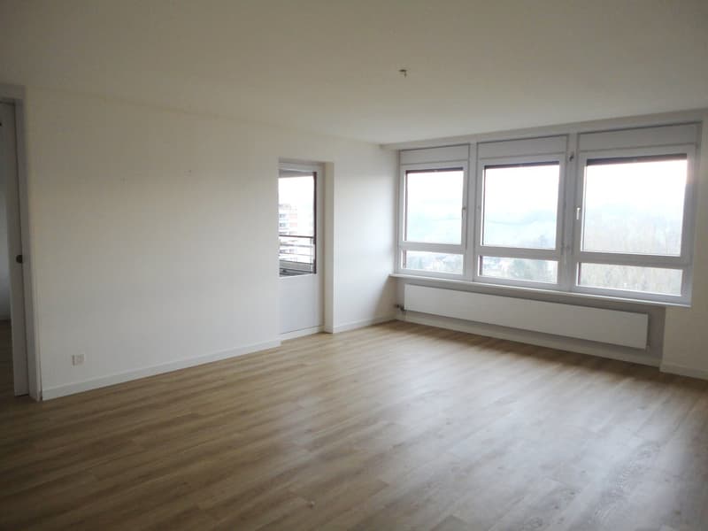 Modern - Saniert - in Kaiseraugst (5)