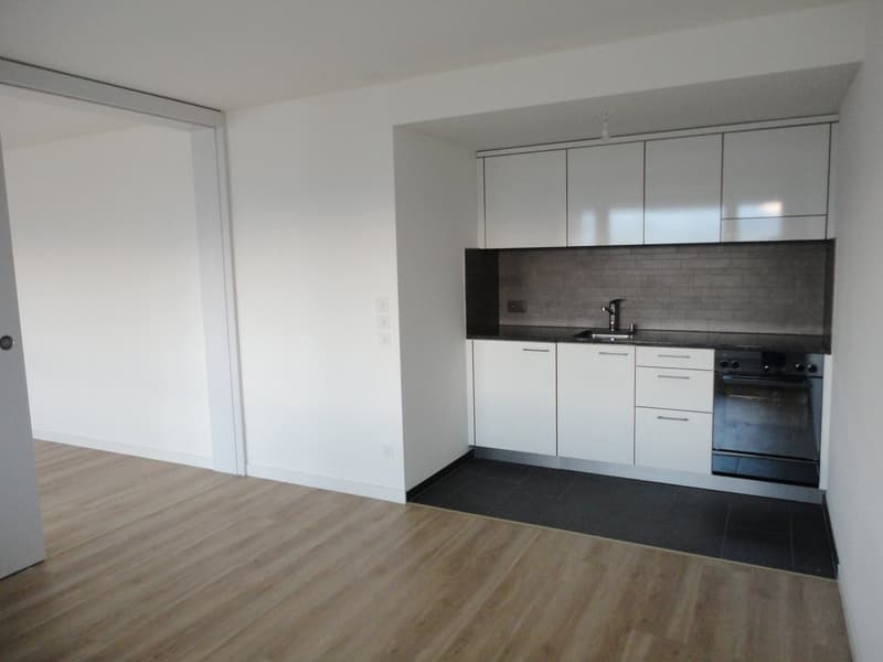 Modern - Saniert - in Kaiseraugst (3)