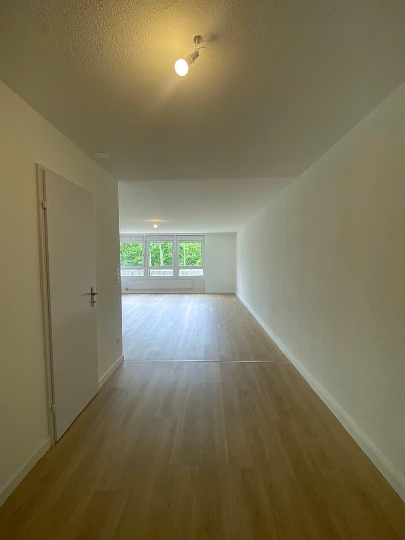 Sanierte Wohnung in grüner Umgebung (7)