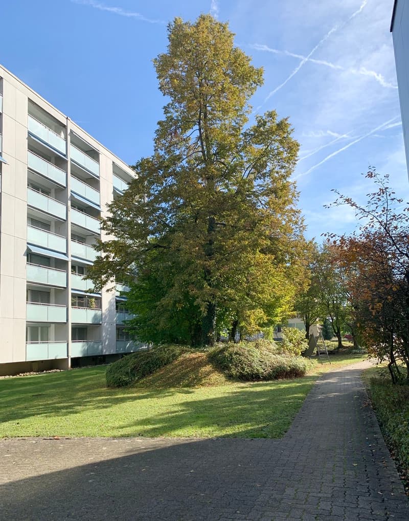 Familienwohnung - Grosszügig - Saniert - 2 Balkone - nähe Bahnhof (6)