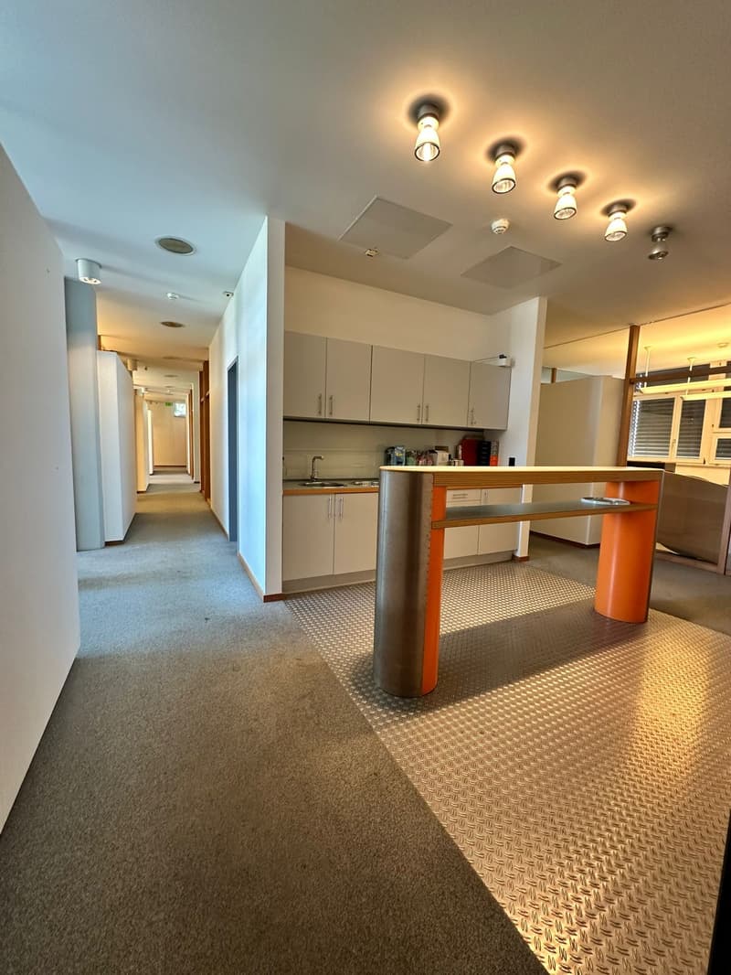 Open-concept kitchen and living area with modern appliances, cabinets, and lighting fixtures. Hardwood flooring and a hallway leading to other rooms.