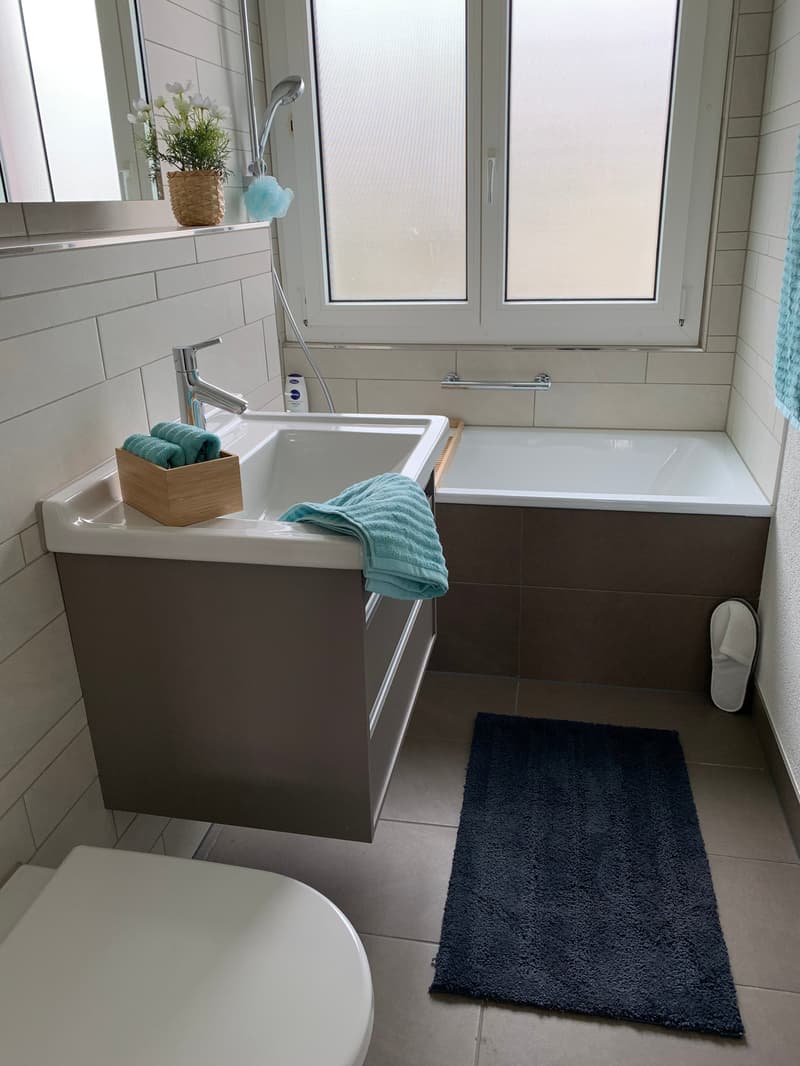 Charmante 3-Zimmerwohnung in Schmerikon (3)