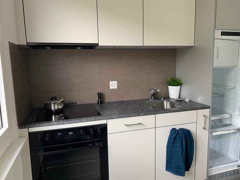Charmante 3-Zimmerwohnung in Schmerikon (2)