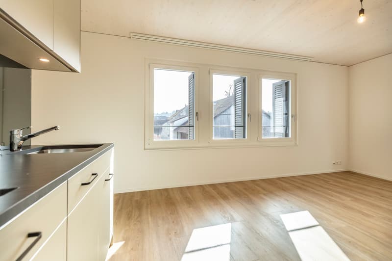 Moderne 2-Zimmerwohnung im alten Dorfkern! (4)