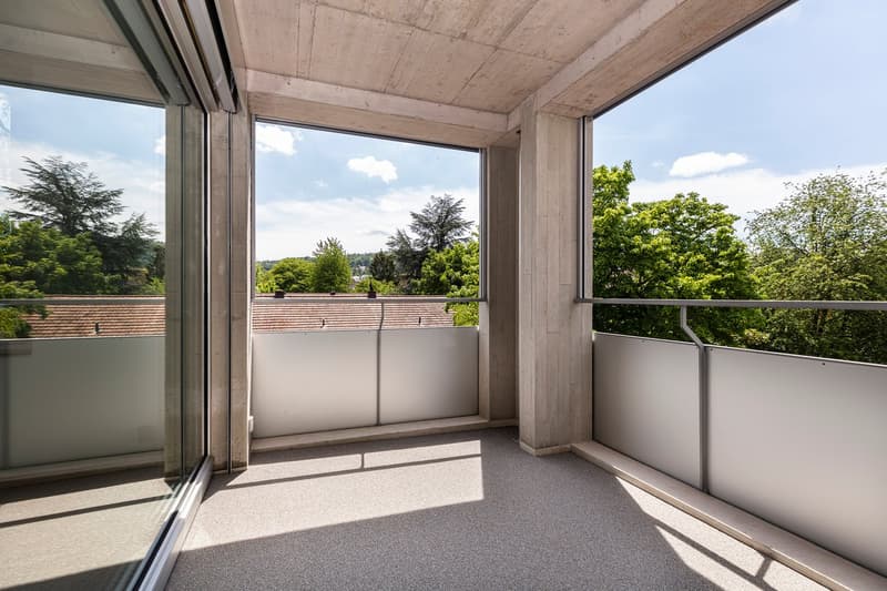 Apartment in Oerlikon area (8)