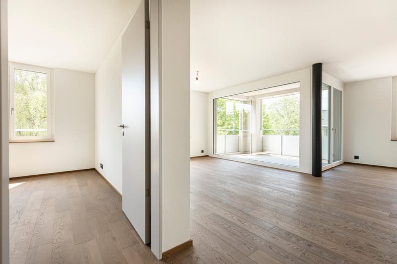 Apartment in Oerlikon area (4)
