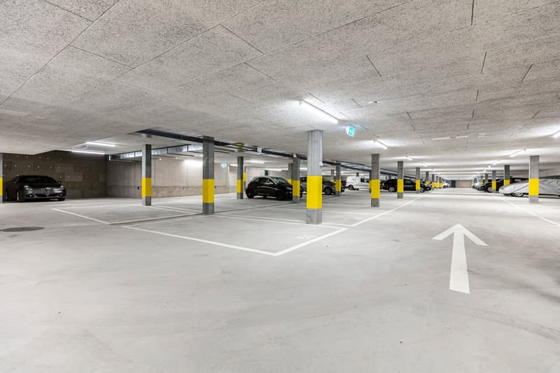 Apartment in Oerlikon area (11)