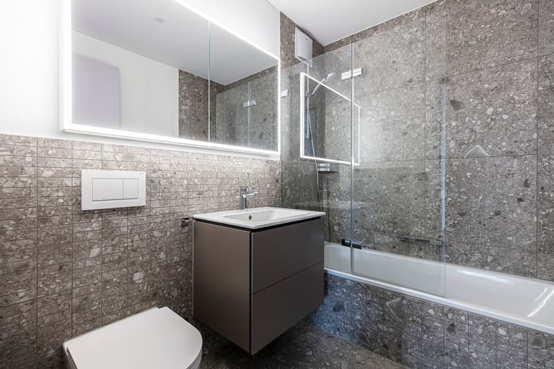 Apartment in Oerlikon area (7)