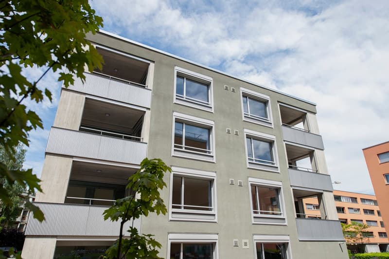 Apartment in Oerlikon area (10)