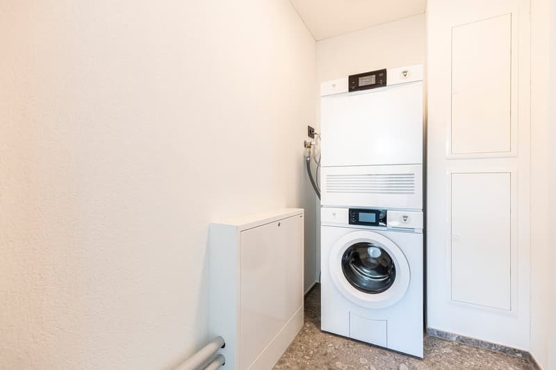 Apartment in Oerlikon area (9)