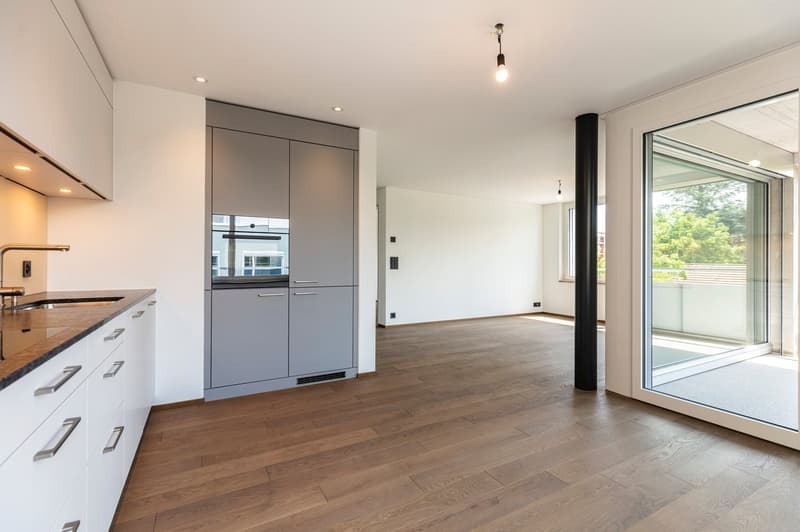 Apartment in Oerlikon area (2)