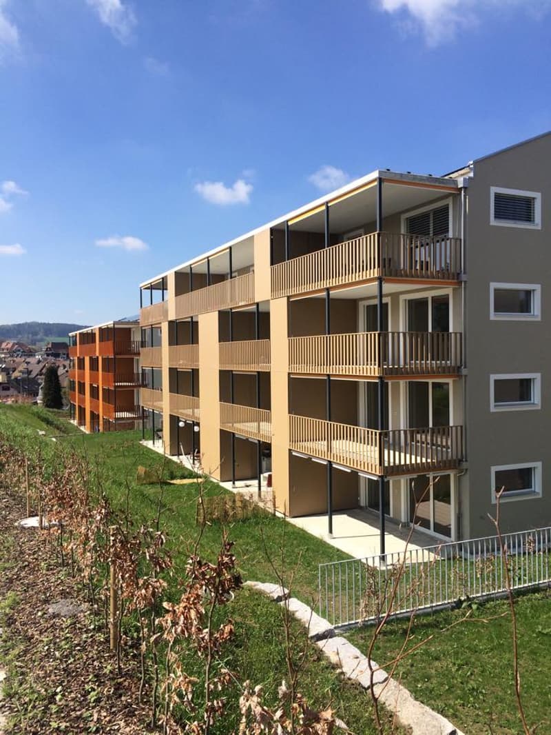Moderne Attika-Wohnung im Grünen (1)
