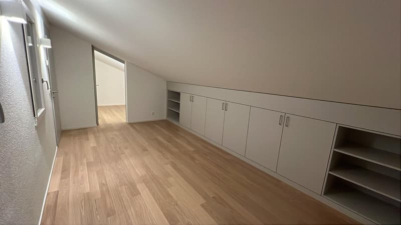 Moderne Attika-Wohnung im Grünen (5)