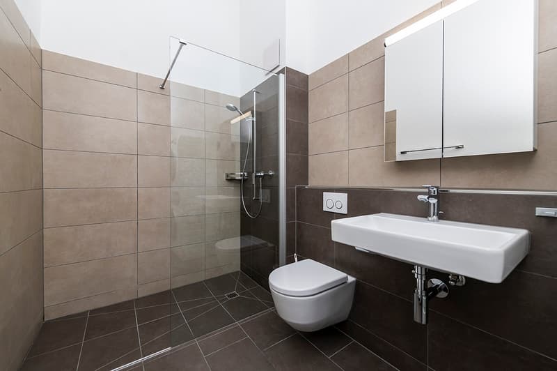 Moderne Attika-Wohnung im Grünen (9)
