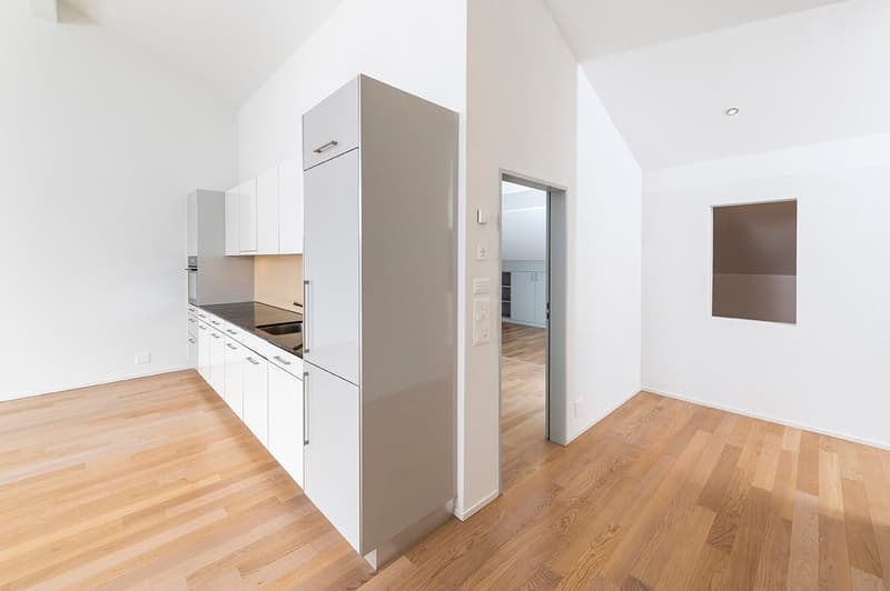 Moderne Attika-Wohnung im Grünen (3)