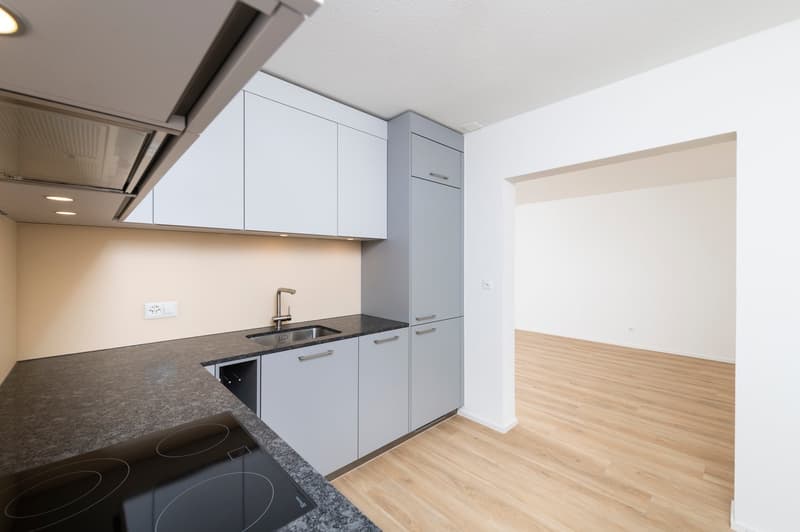 Vantaggio Casa Überlandstrasse (5)