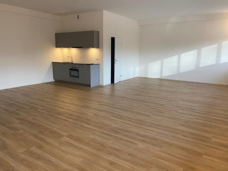 Bello studio commerciale o ufficio (1)