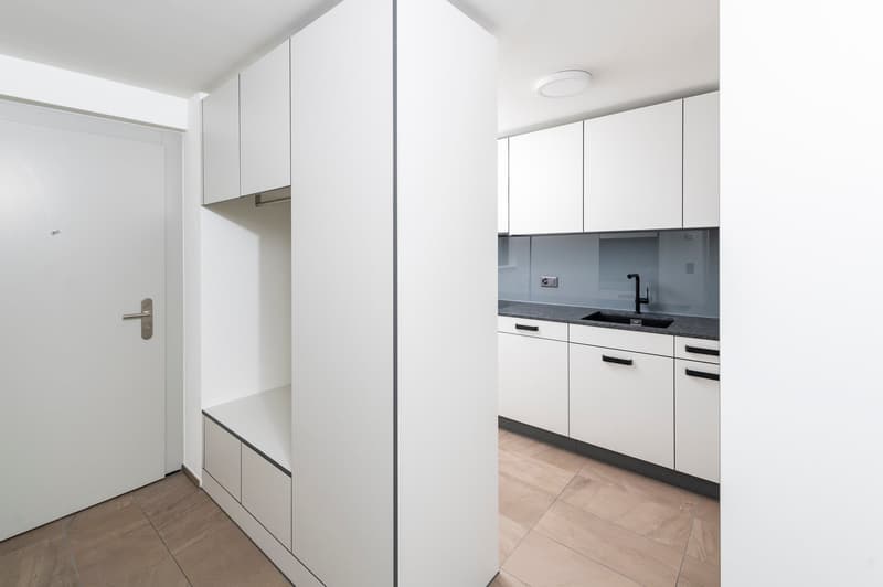 Attraktive und topmoderne 3 - Zimmerwohnung (1)
