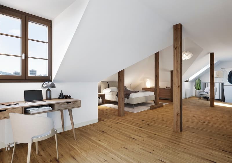 Totally renovated apartments in the city center of Sursee (3)