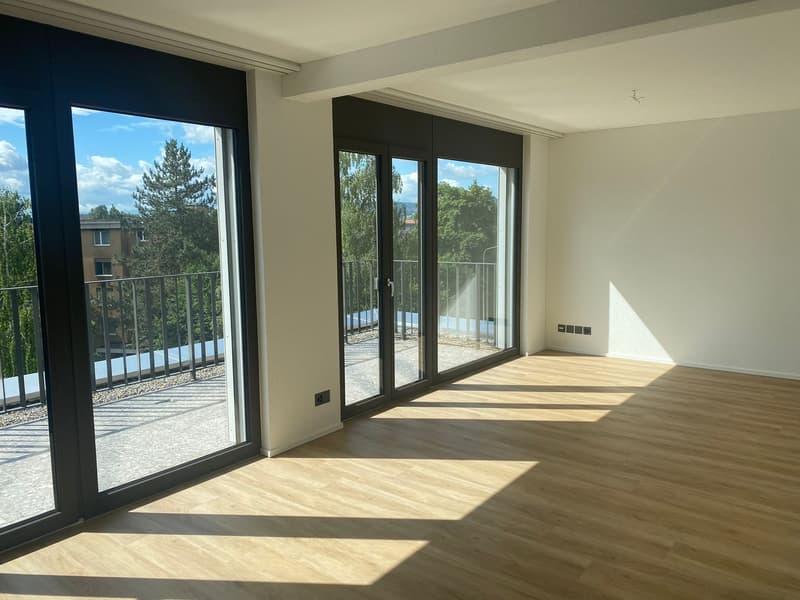 Topmoderne Attikawohnung (3)