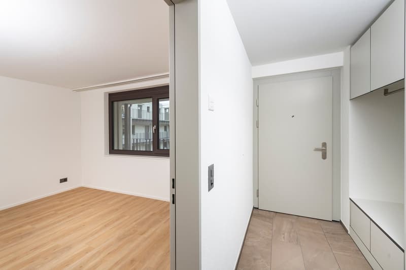 Topmoderne Attikawohnung (4)