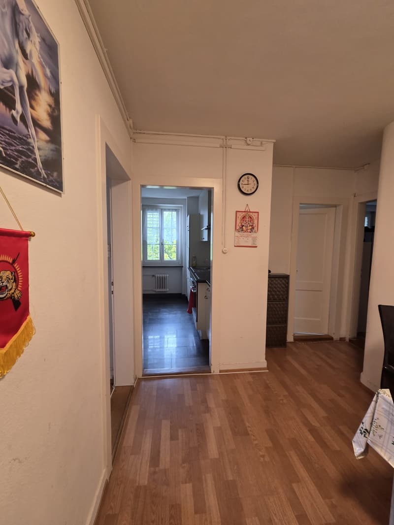 Charmante 3.5-Zimmer-Wohnung an zentraler Lage in Adliswil (2)