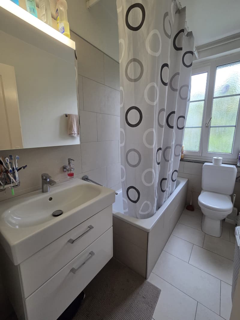 Charmante 3.5-Zimmer-Wohnung an zentraler Lage in Adliswil (3)