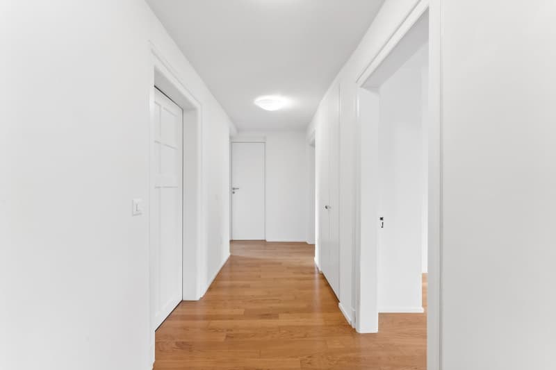 Great city apartment for rent (9)