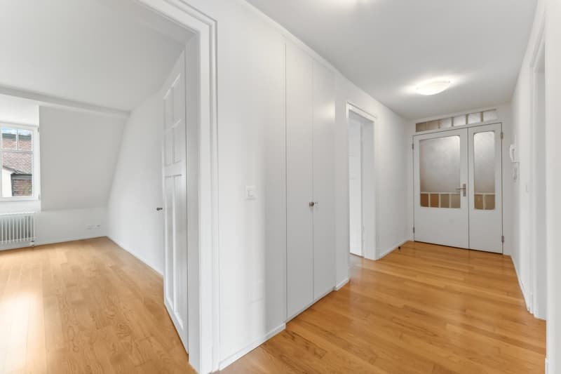 Great city apartment for rent (3)