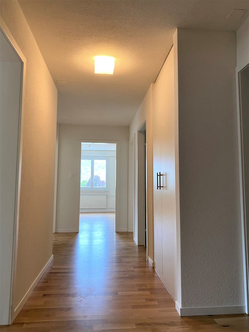 Appartement 4 pièces au 5e étage à Stansstad (5)