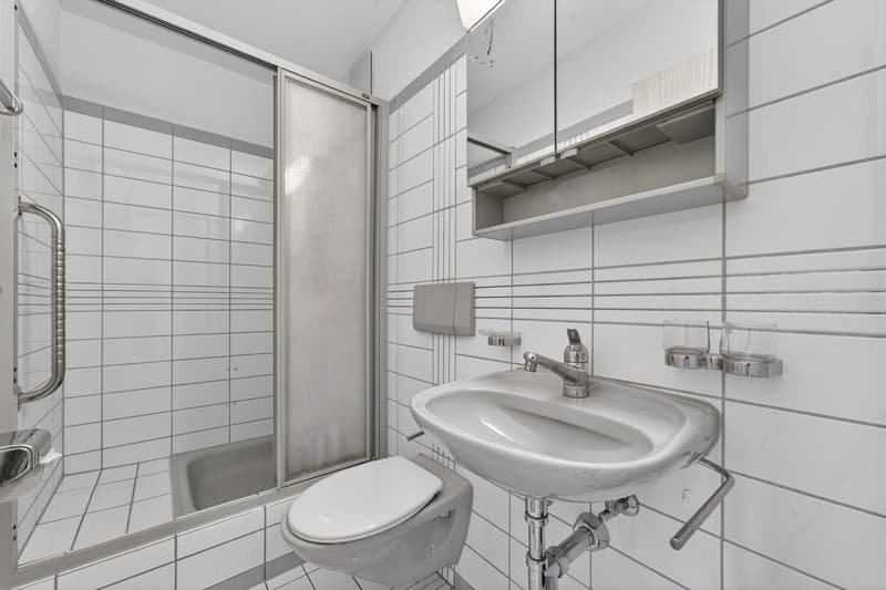 Spacious 4.5-room apartment in Emmenbrücke (9)