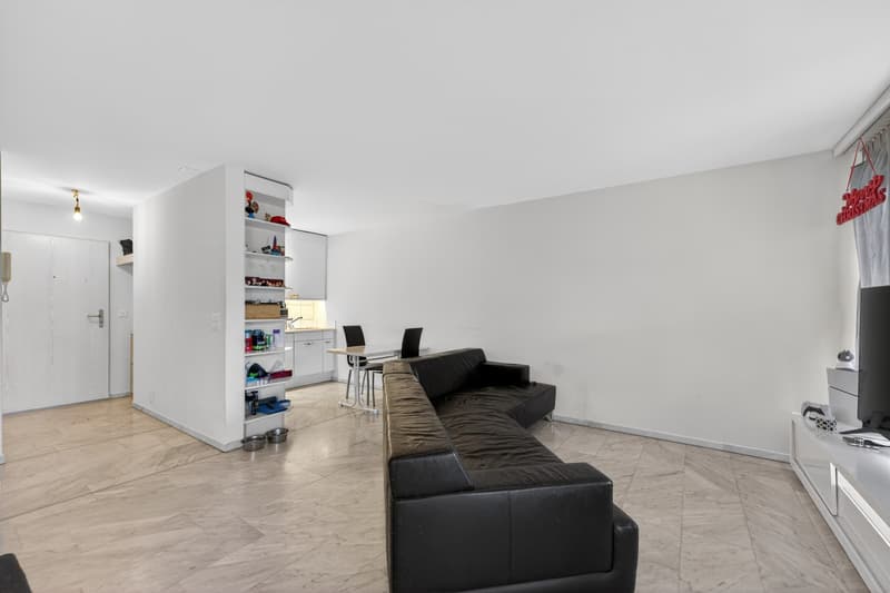 Spacious 2-room apartment in Emmenbrücke (2)