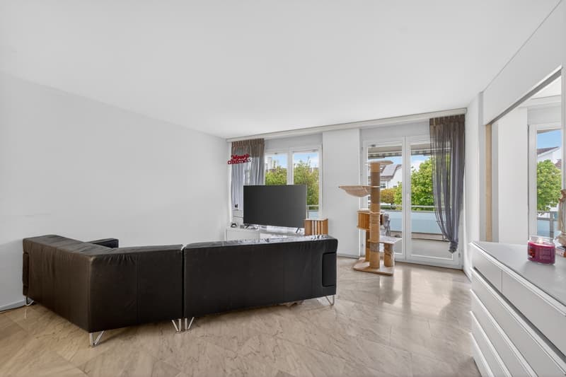 Spacious 2-room apartment in Emmenbrücke (1)