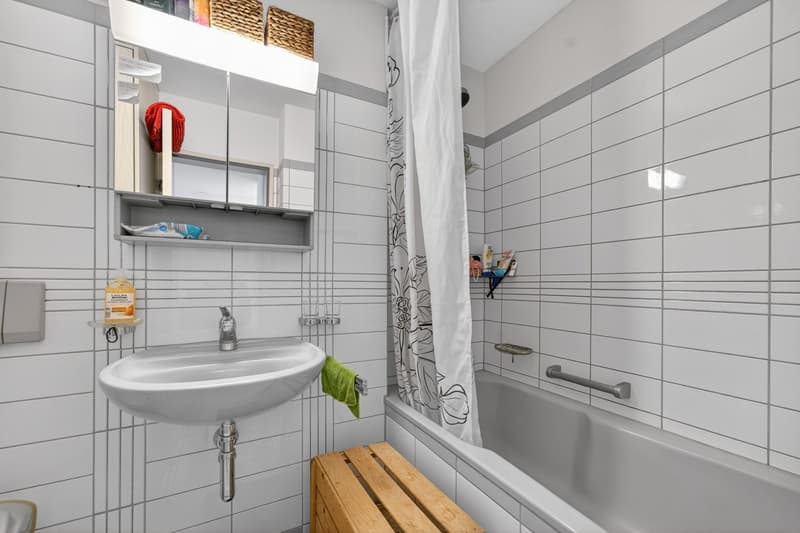 Spacious 2-room apartment in Emmenbrücke (8)
