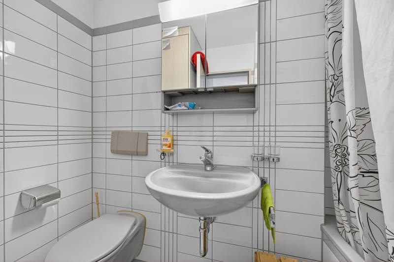 Spacious 2-room apartment in Emmenbrücke (7)