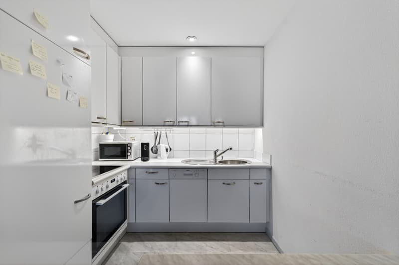 Spacious 2-room apartment in Emmenbrücke (4)