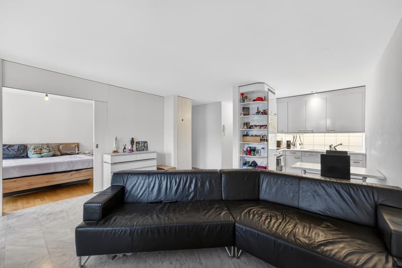 Spacious 2-room apartment in Emmenbrücke (3)