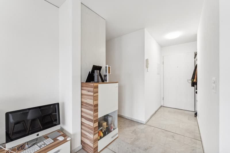 Spacious 2-room apartment in Emmenbrücke (6)