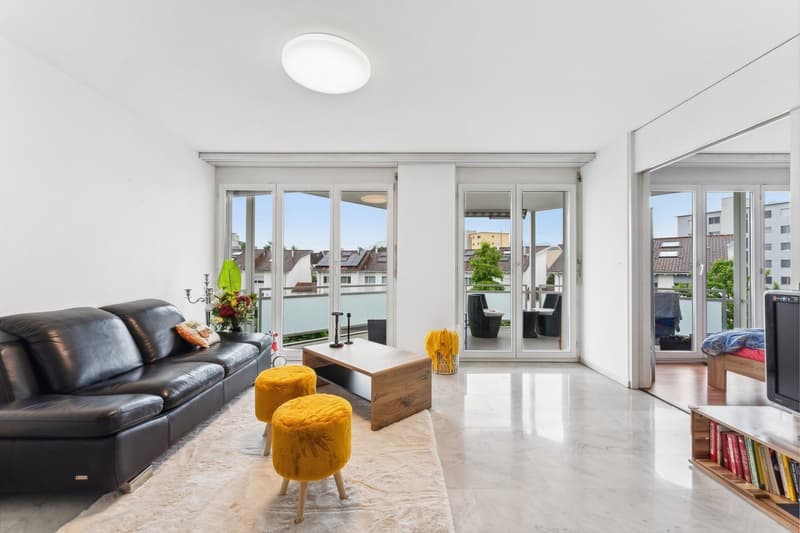 Spacious 2-room apartment in Emmenbrücke (3)