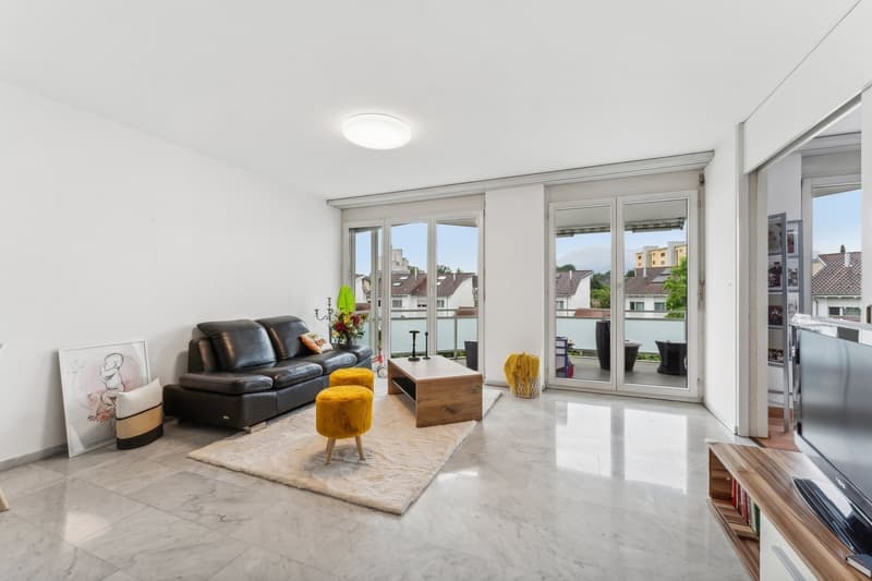 Spacious 2-room apartment in Emmenbrücke (1)