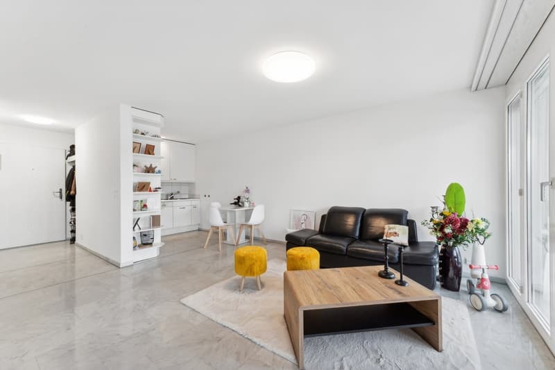 Spacious 2-room apartment in Emmenbrücke (2)