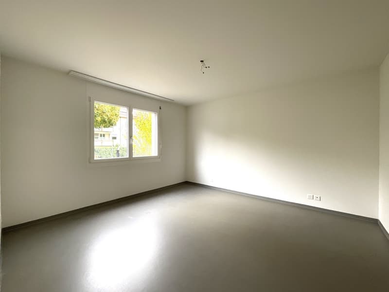 4.5-room apartment for rent in a green area near Olten (5)