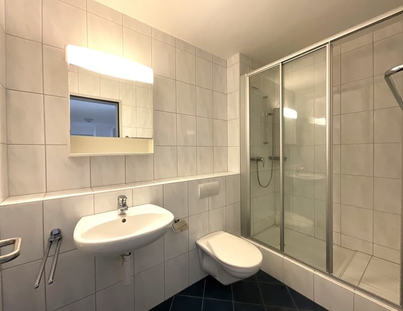 4.5-room apartment for rent in a green area near Olten (7)