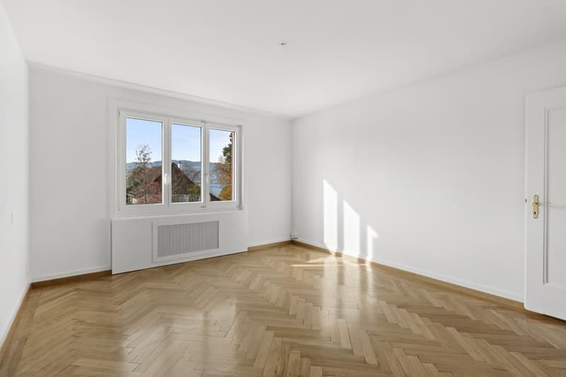 Living on Lake Zurich, quiet, clear, connected (7)