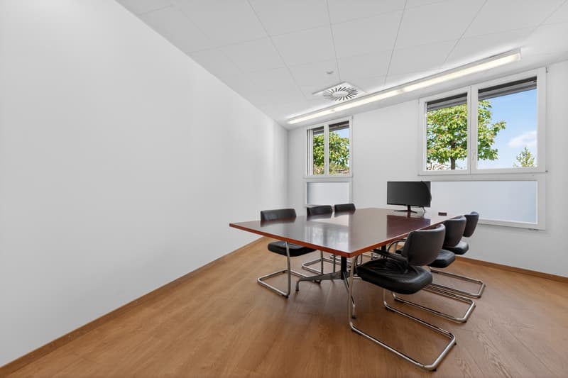 Commercial property / office / practice in a quiet location in Hergiswil (1)