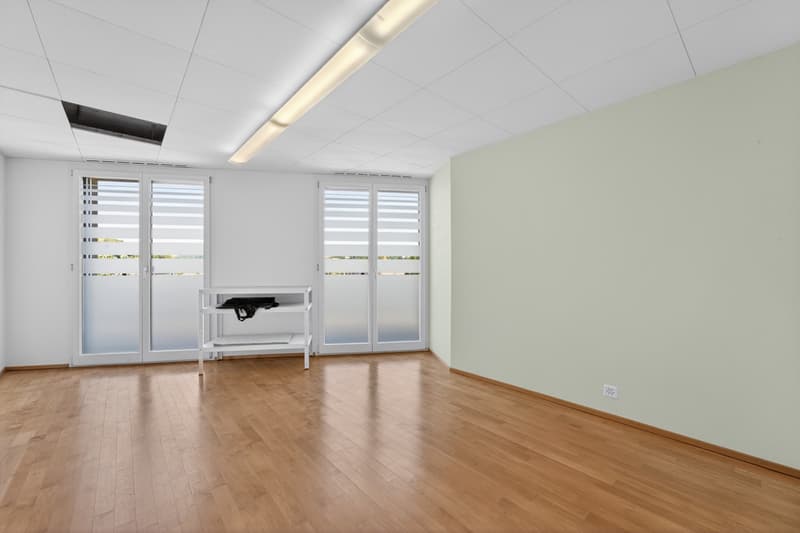 Commercial property / office / practice in a quiet location in Hergiswil (4)