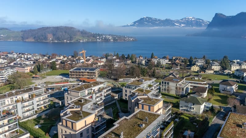 Commercial property / office / practice in a quiet location in Hergiswil (13)