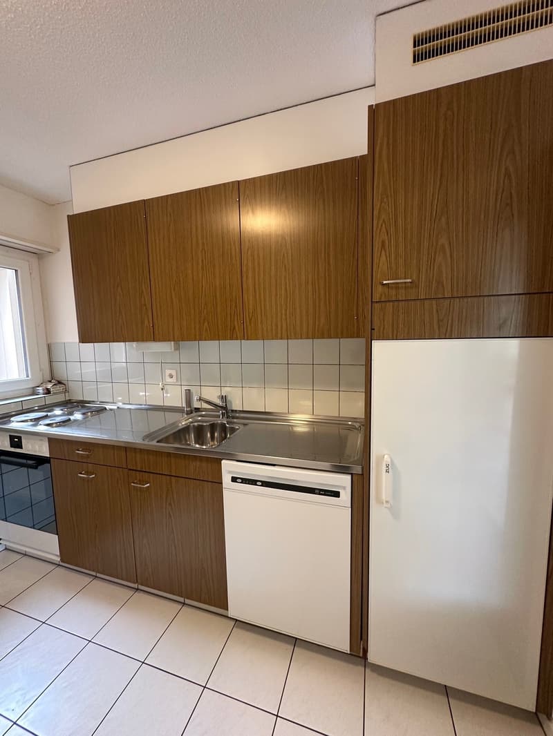 Dreamy panoramic view - Your new home in Emmen (12)